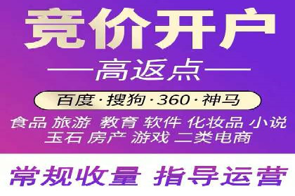 SEM公司案例研究：数据驱动营销策略